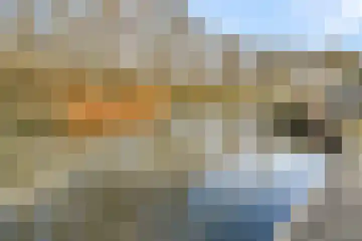 Koggeschip 47 Schiedam thumbnail 27