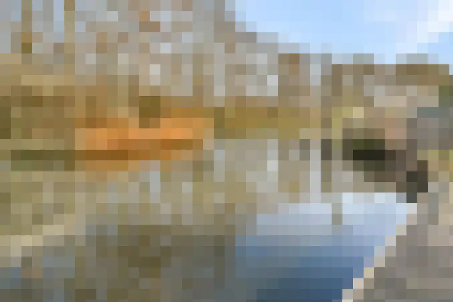 Koggeschip 47 Schiedam thumbnail 27