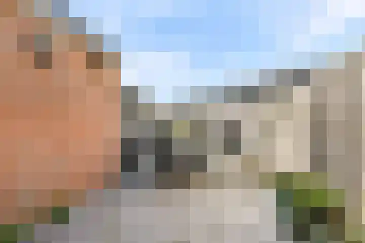 Koggeschip 47 Schiedam thumbnail 9