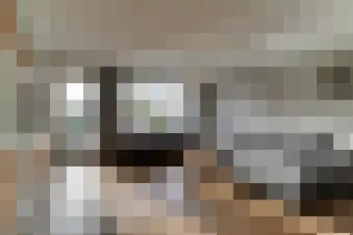 Koggeschuit 28 A Wervershoof thumbnail 10