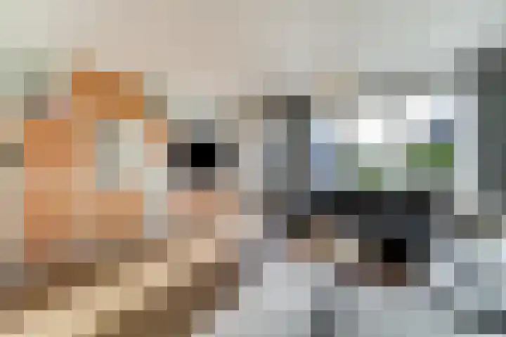 Koggeschuit 28 A Wervershoof thumbnail 11