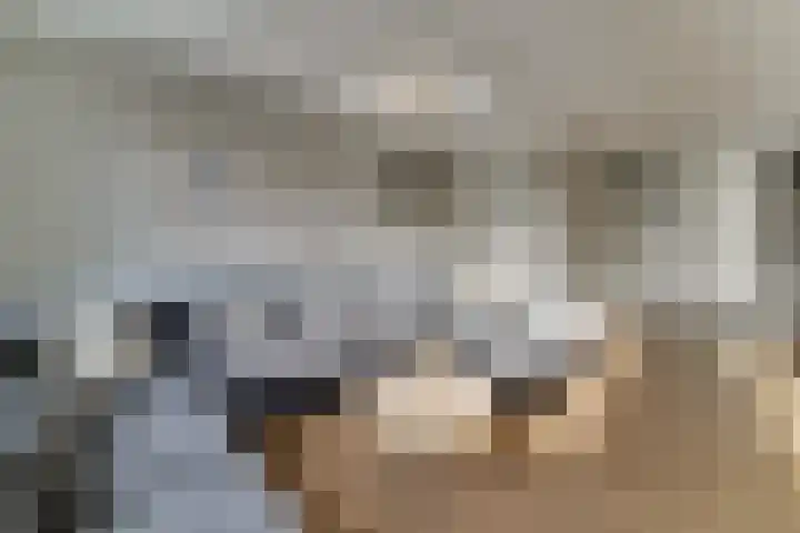 Koggeschuit 28 A Wervershoof thumbnail 12