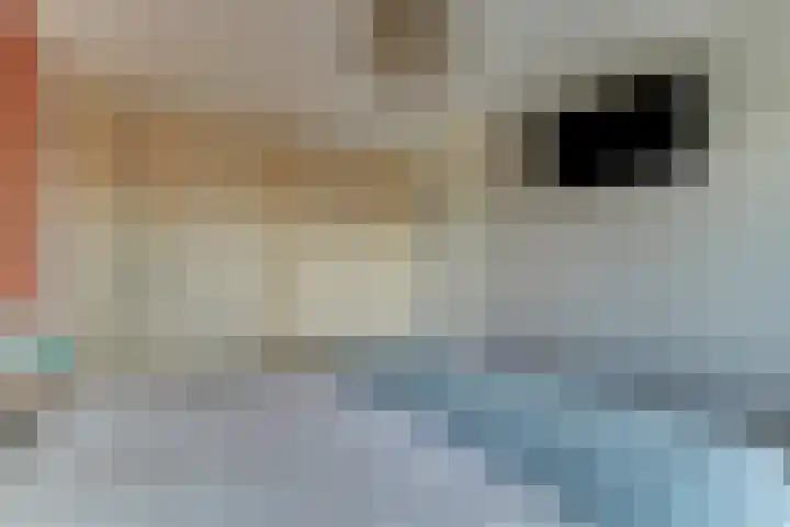 Koggeschuit 28 A Wervershoof thumbnail 20