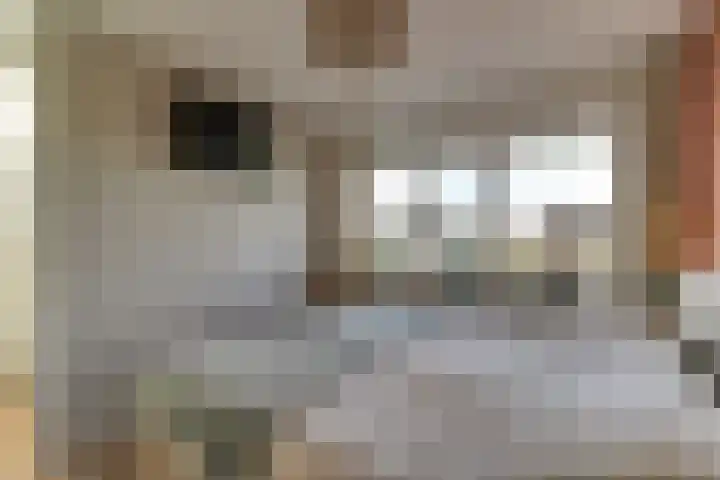 Koggeschuit 28 A Wervershoof thumbnail 21