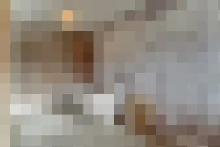 Koggeschuit 28 A Wervershoof thumbnail 32