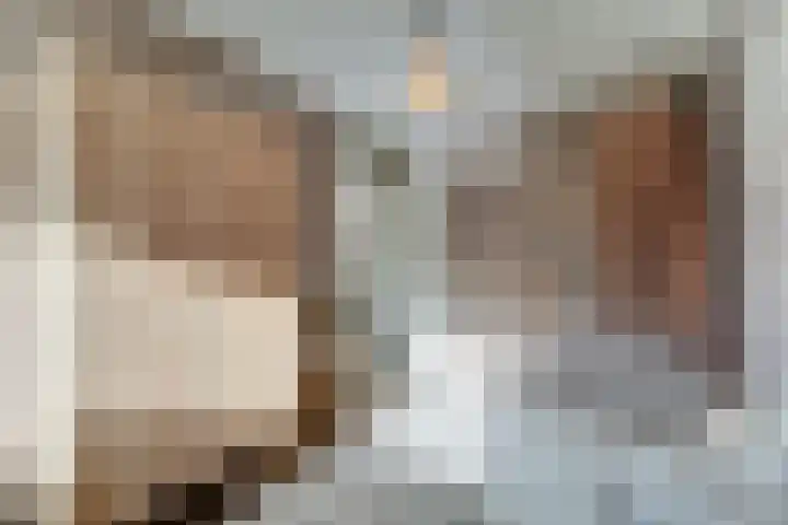 Koggeschuit 28 A Wervershoof thumbnail 33