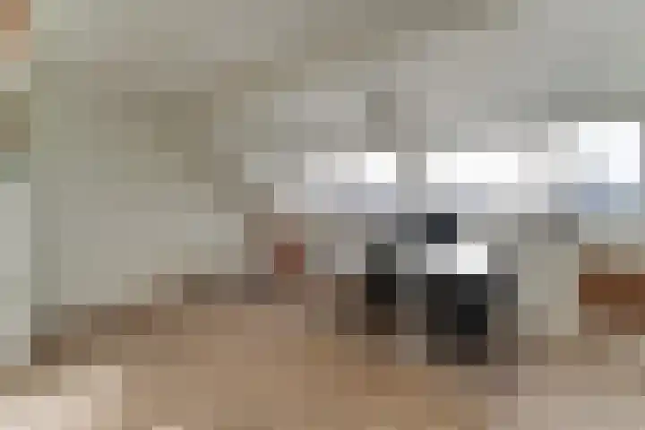 Koggeschuit 28 A Wervershoof thumbnail 34