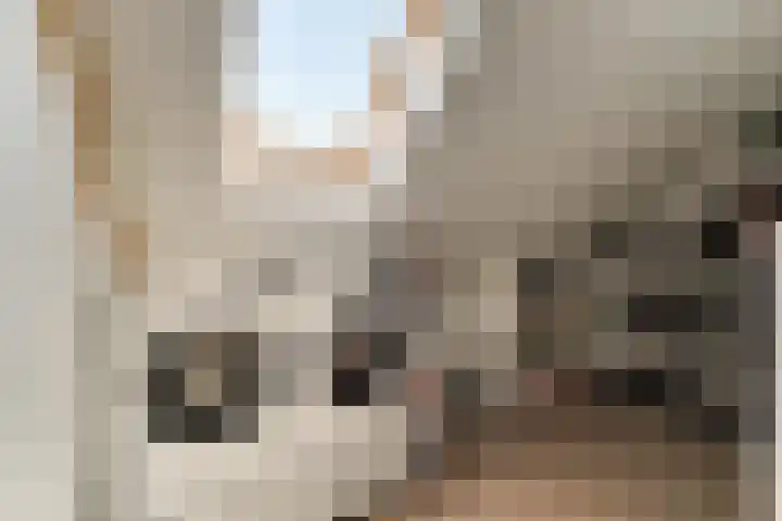 Koggeschuit 28 A Wervershoof thumbnail 37