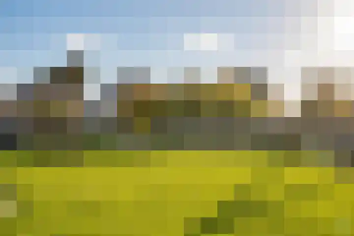 Koggeschuit 28 A Wervershoof thumbnail 47