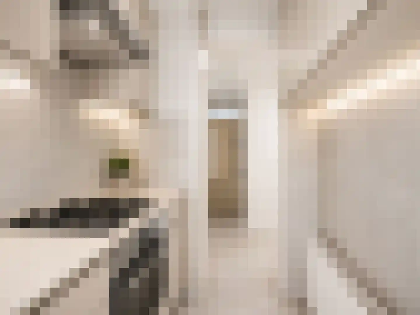 Koggestraat 1 A Rotterdam thumbnail 8