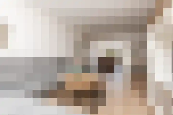 Koggestraat 12 Wervershoof thumbnail 13