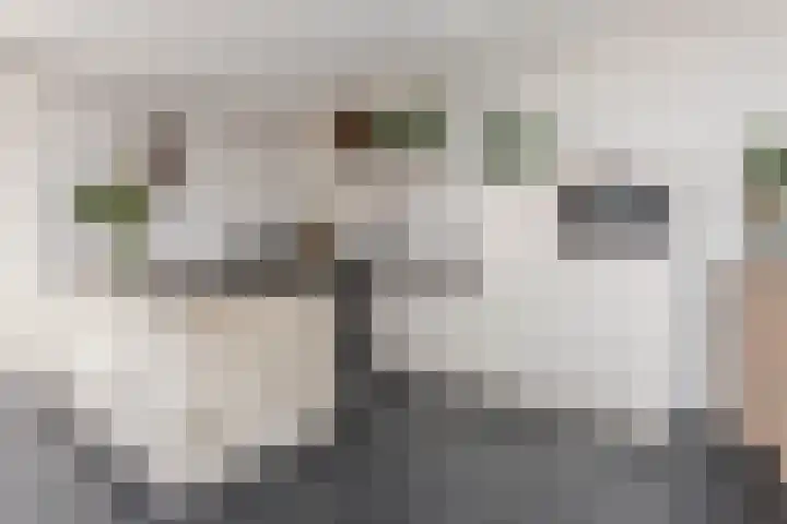 Koggestraat 12 Wervershoof thumbnail 8