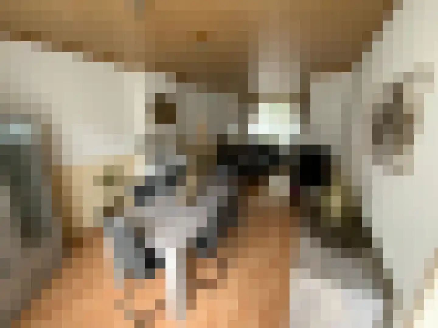 Koggestraat 13 D Rotterdam thumbnail 15