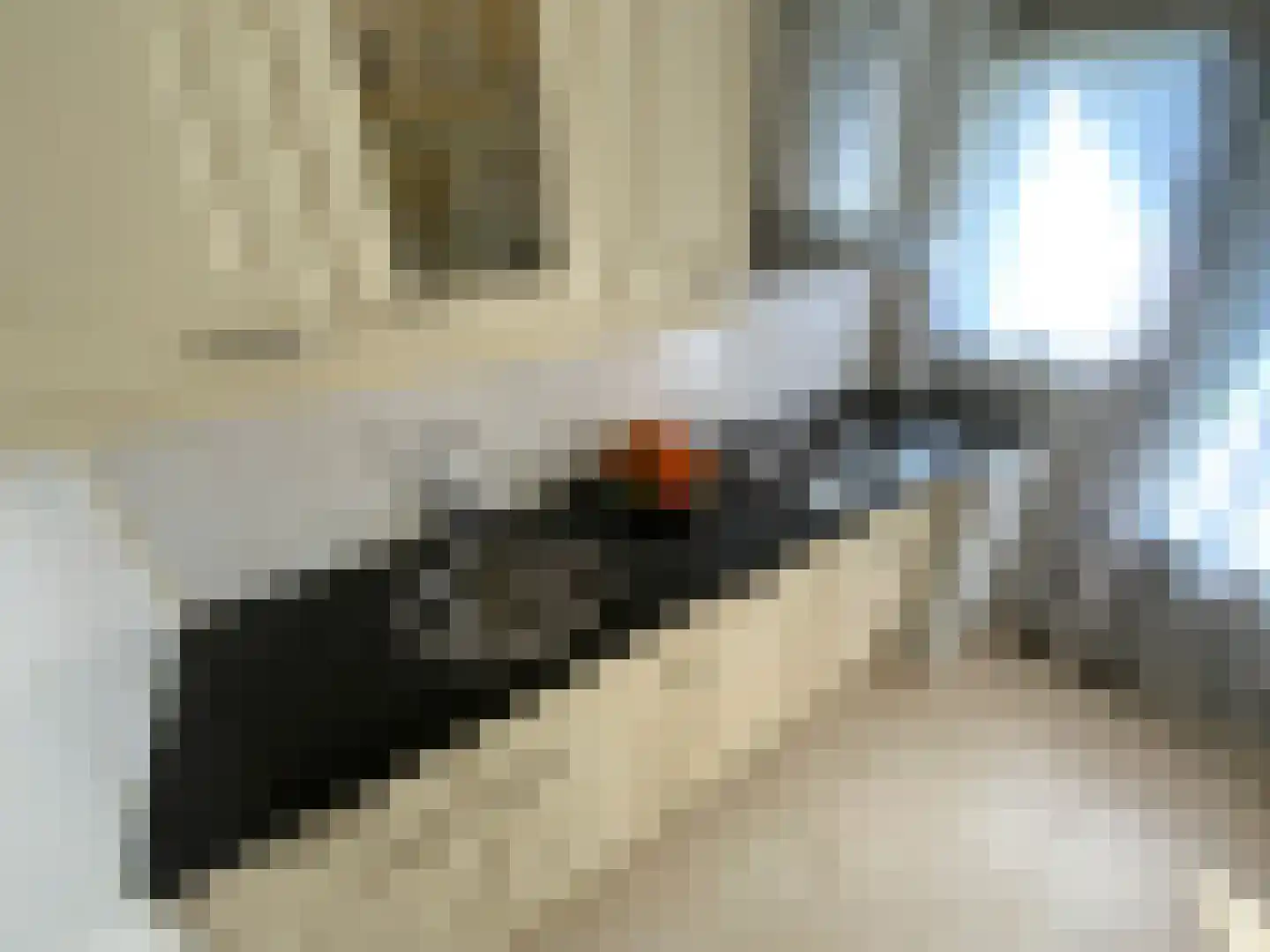 Koggestraat 13 D Rotterdam thumbnail 18