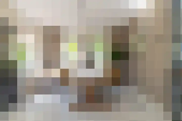 Koggestraat 15 Stavoren thumbnail 12
