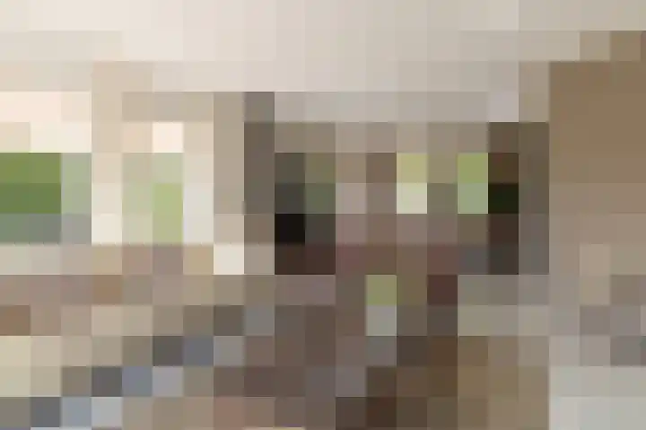 Koggestraat 15 Stavoren thumbnail 15