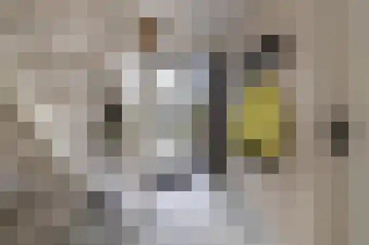 Koggestraat 15 Stavoren thumbnail 6