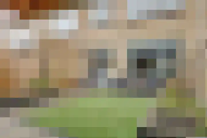 Koggestraat 15 Wervershoof thumbnail 24