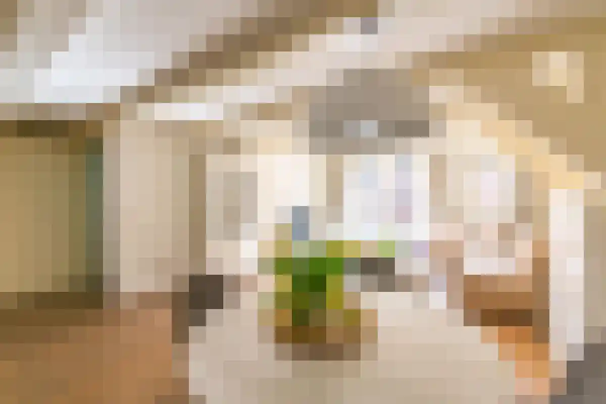 Koggestraat 2 Amsterdam thumbnail 6