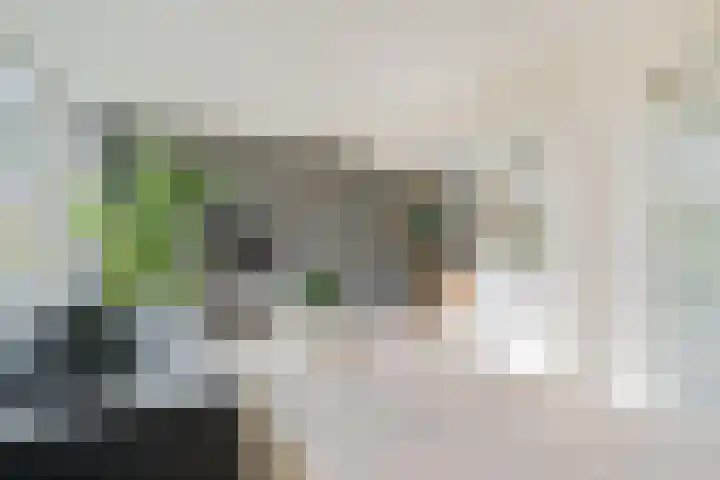 Koggestraat 34 Dronten thumbnail 11
