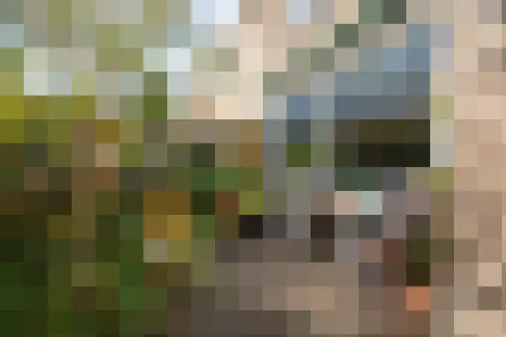 Koggestraat 34 Dronten thumbnail 29