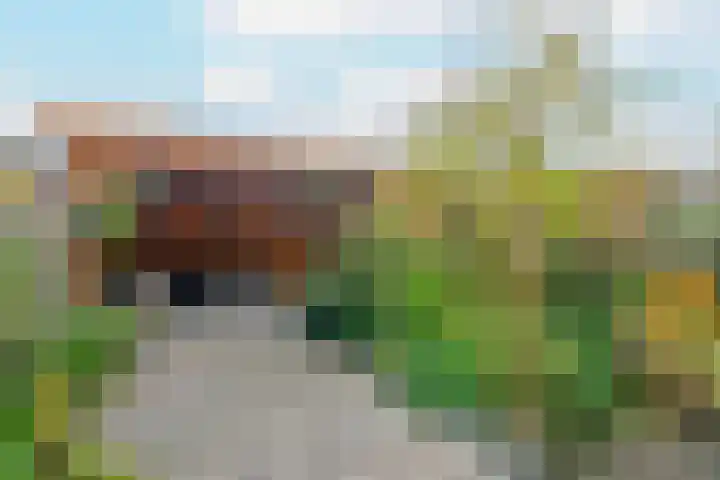 Koggestraat 34 Dronten thumbnail 30
