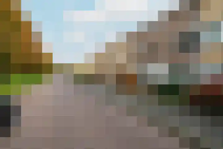Koggestraat 34 Dronten thumbnail 8