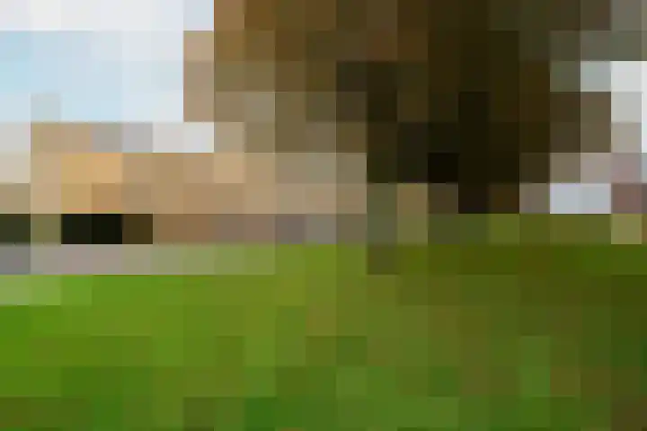 Koggestraat 34 Dronten thumbnail 9