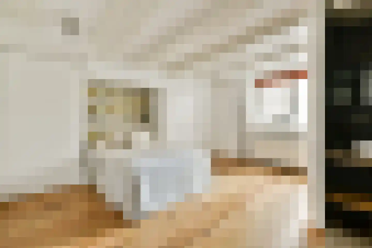 Koggestraat 4 Amsterdam thumbnail 11