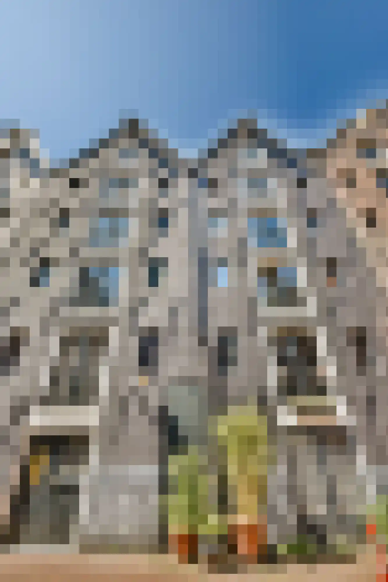 Koggestraat 4 Amsterdam thumbnail 16