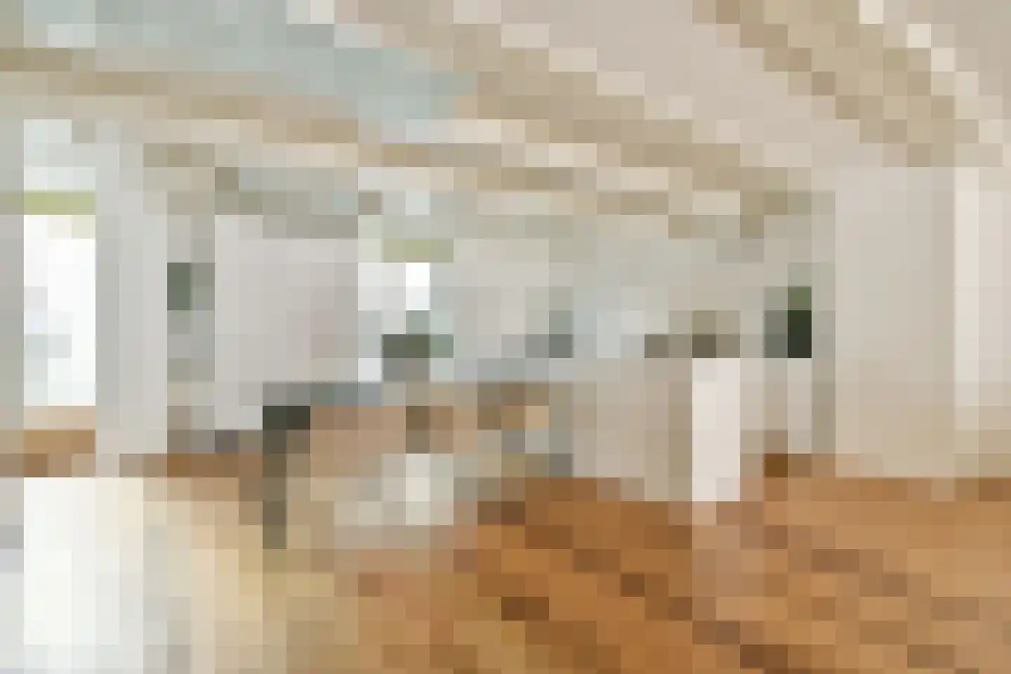 Koggestraat 4 Amsterdam thumbnail 5