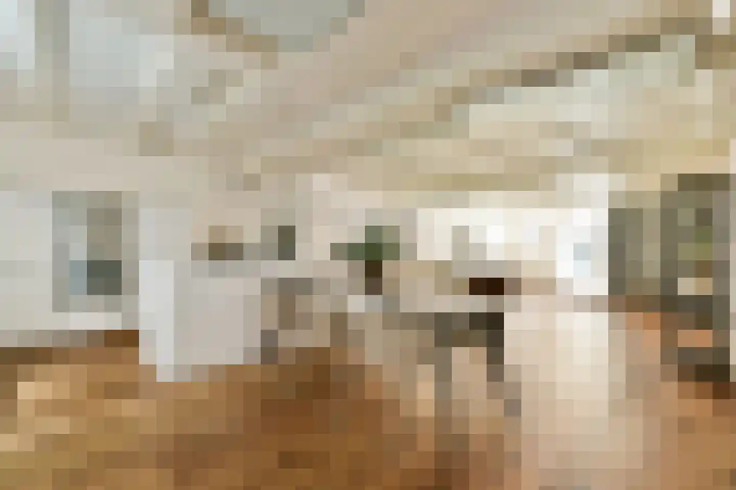 Koggestraat 4 Amsterdam thumbnail 6