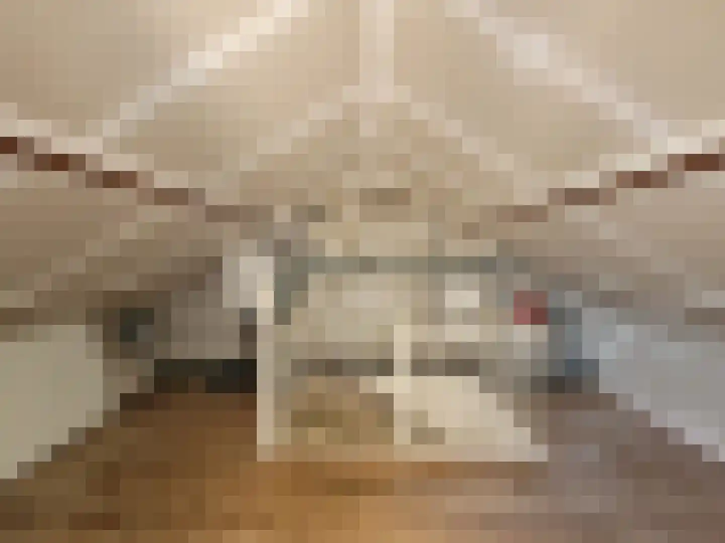Koggestraat 4 Wervershoof thumbnail 17