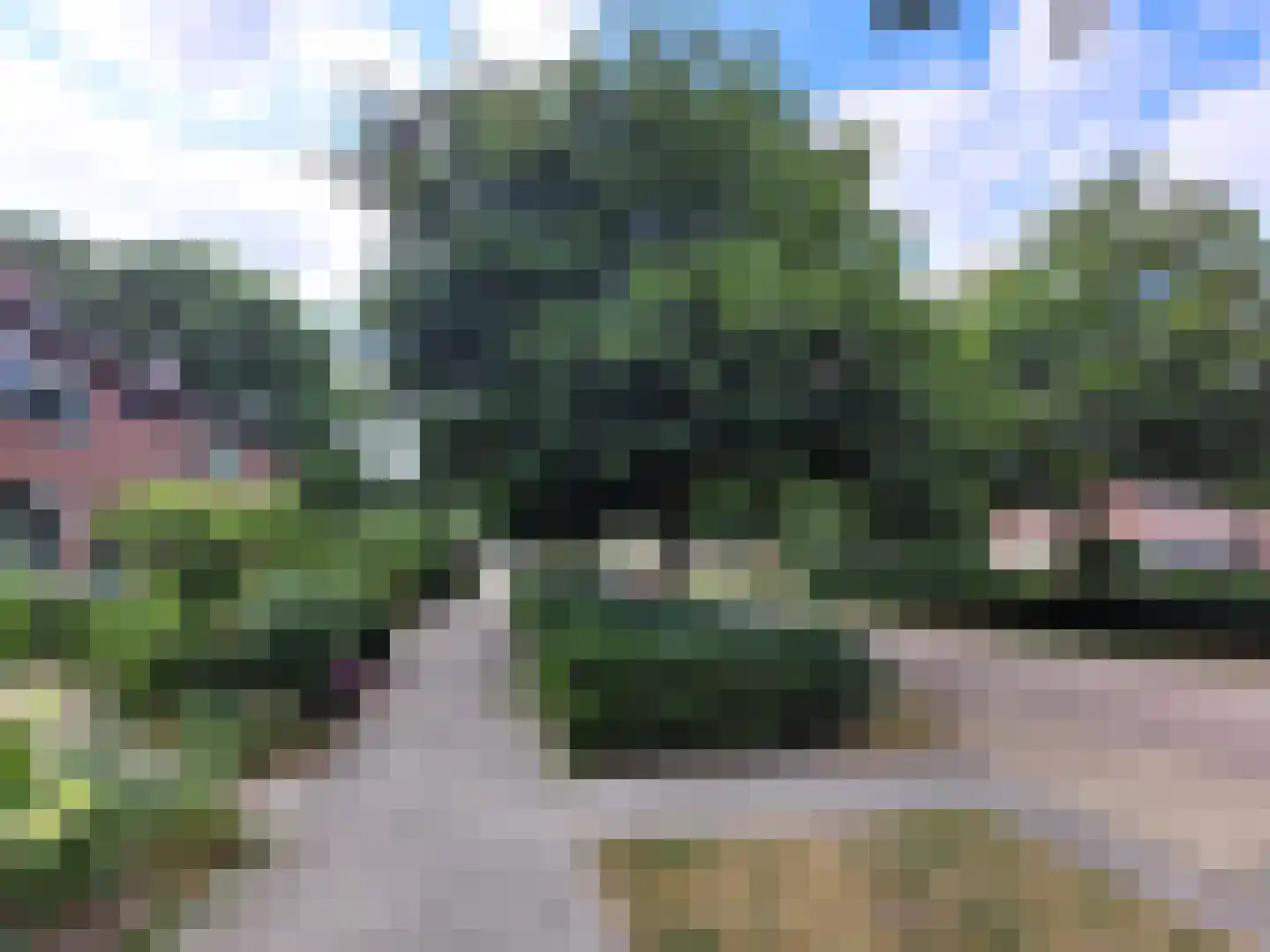 Koggestraat 4 Wervershoof thumbnail 26