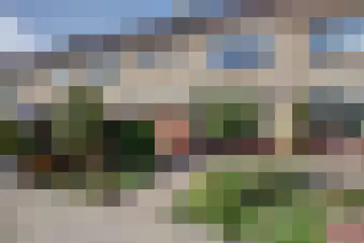 Koggestraat 49 Wervershoof thumbnail 31