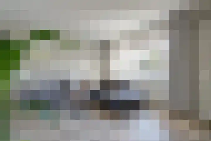 Koggestraat 49 Wervershoof thumbnail 6