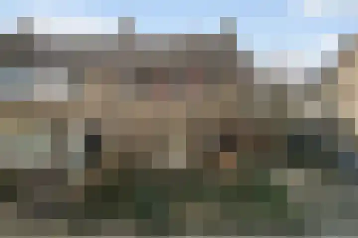 Koggestraat 8 Harlingen thumbnail 45