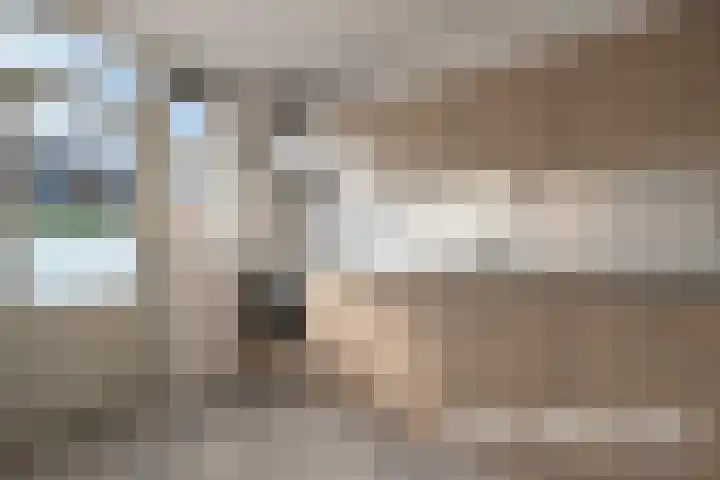 Koggestraat 8 Wervershoof thumbnail 12