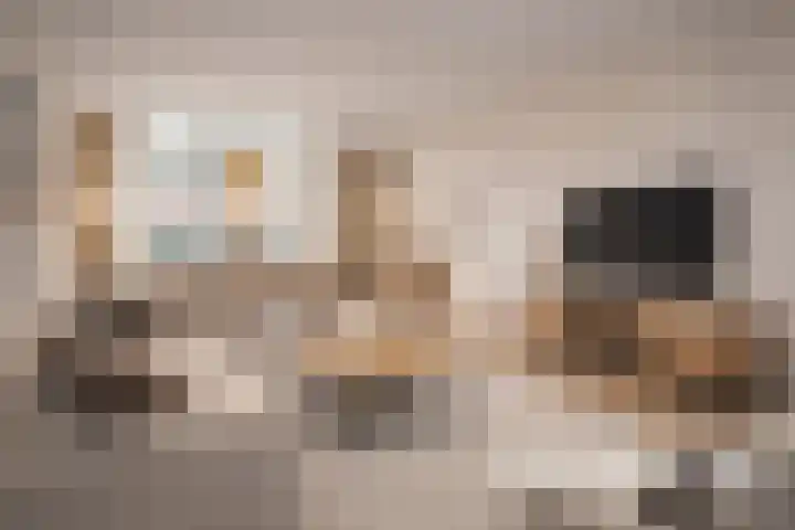 Koggestraat 8 Wervershoof thumbnail 4