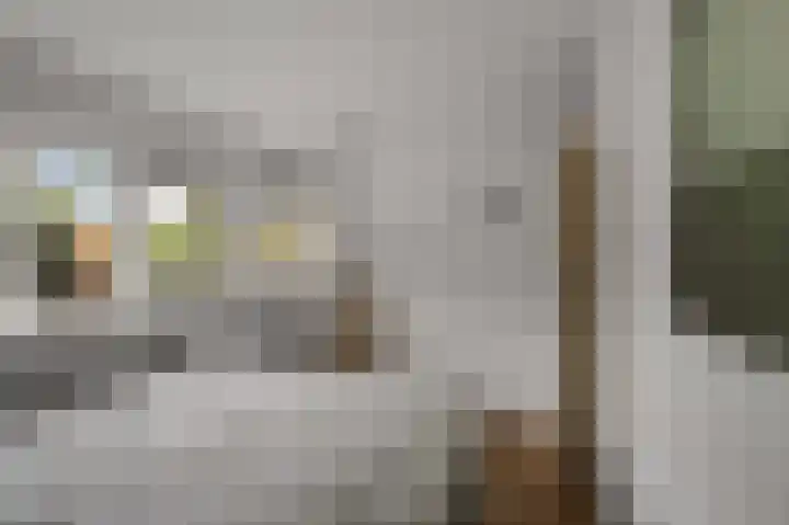 Koggewaard 106 Alkmaar thumbnail 18