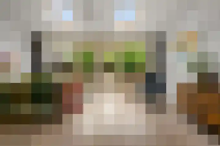 Koggewaard 106 Alkmaar thumbnail 4
