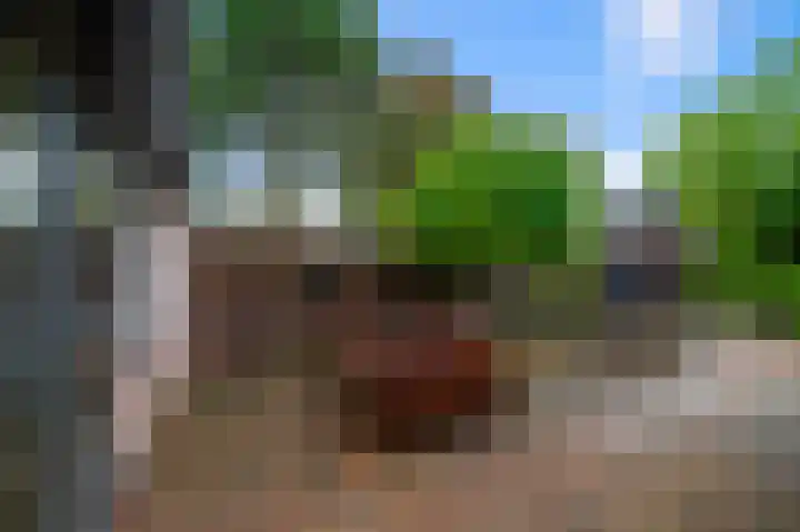 Koggewaard 106 Alkmaar thumbnail 42
