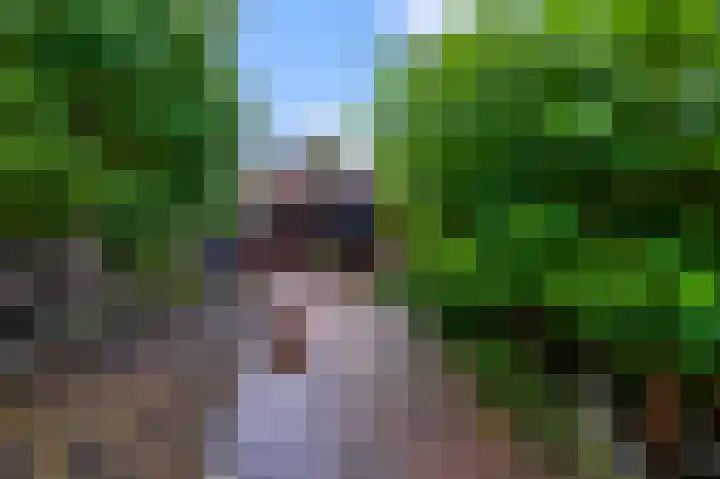 Koggewaard 106 Alkmaar thumbnail 43