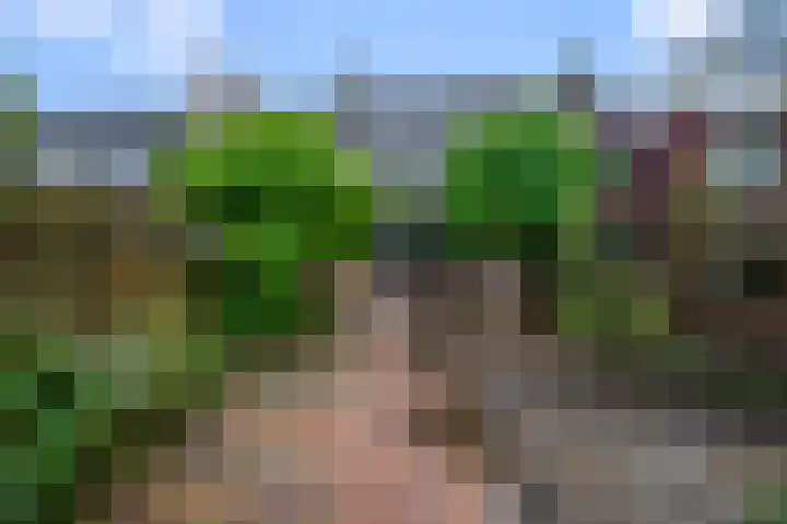 Koggewaard 106 Alkmaar thumbnail 46