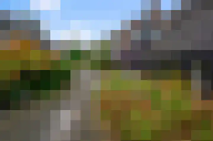 Koggewaard 106 Alkmaar thumbnail 48