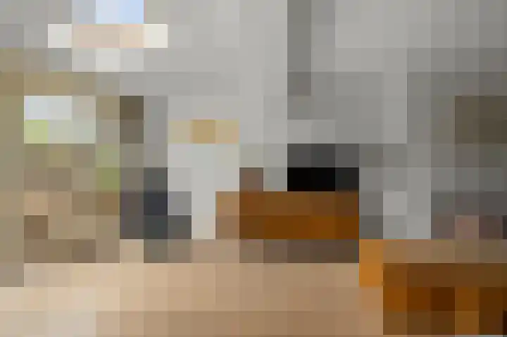 Koggewaard 106 Alkmaar thumbnail 8
