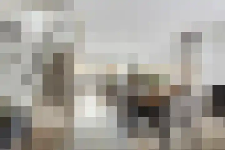 Koggewaard 109 Alkmaar thumbnail 19