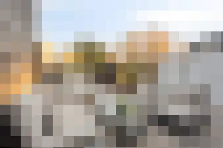 Koggewaard 109 Alkmaar thumbnail 39