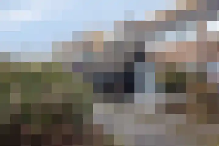 Koggewaard 109 Alkmaar thumbnail 45