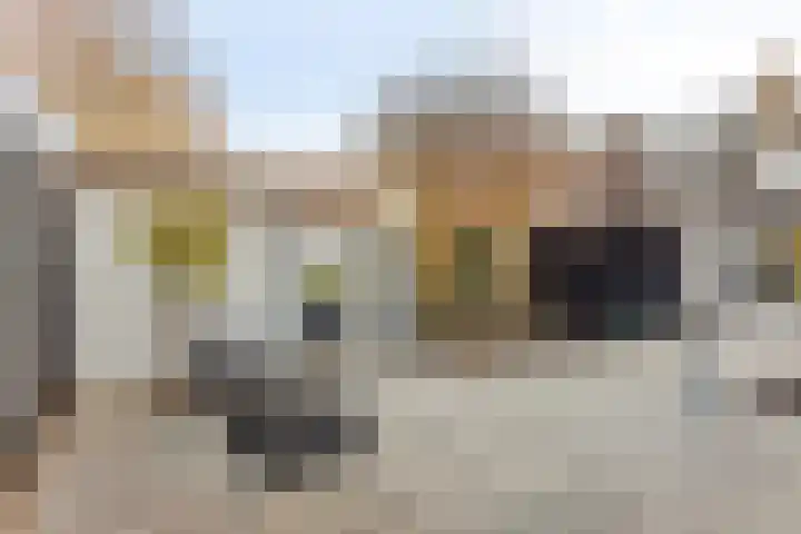 Koggewaard 109 Alkmaar thumbnail 47